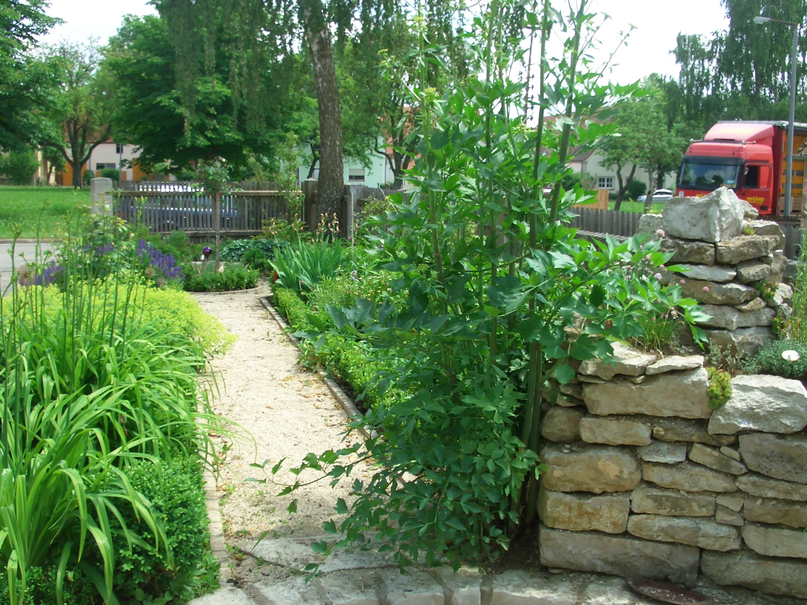 Kräutergarten