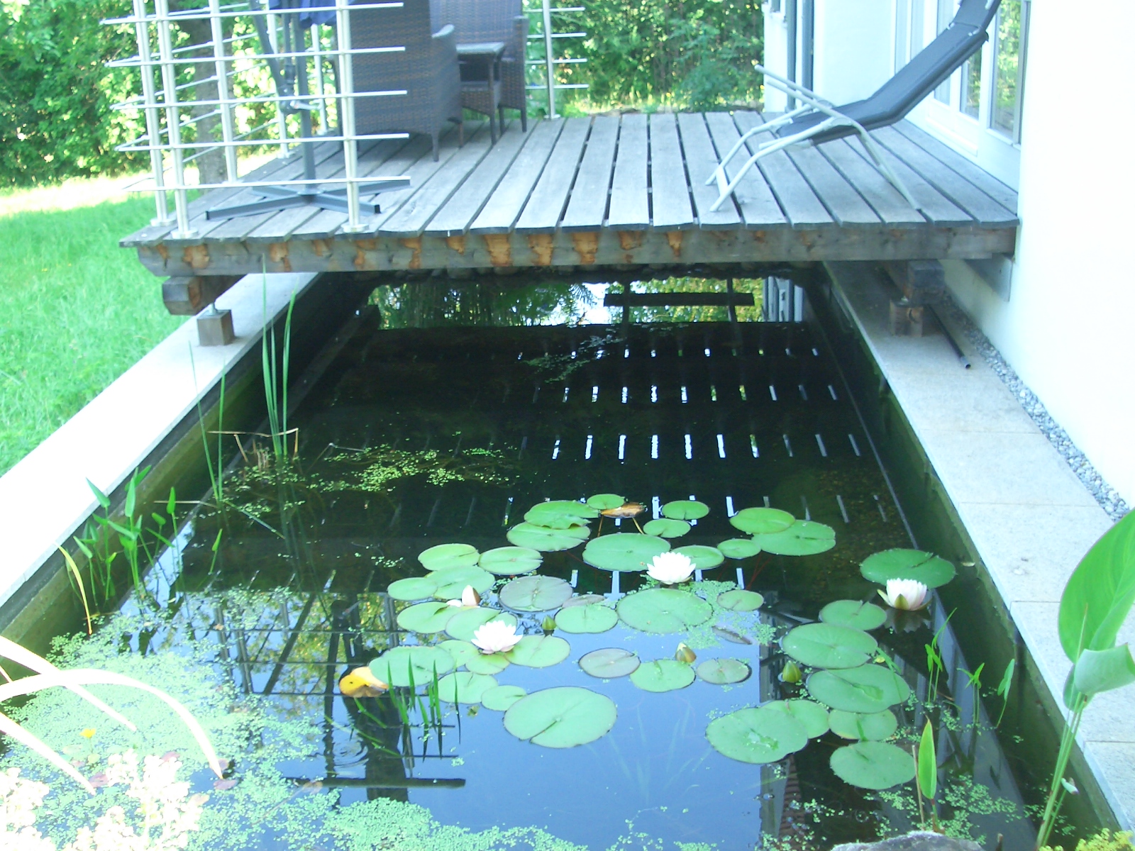 Teichterrasse
